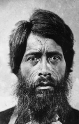 Hombre maorí con tatuaje facial 